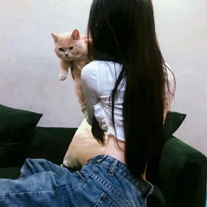 街舞营业中