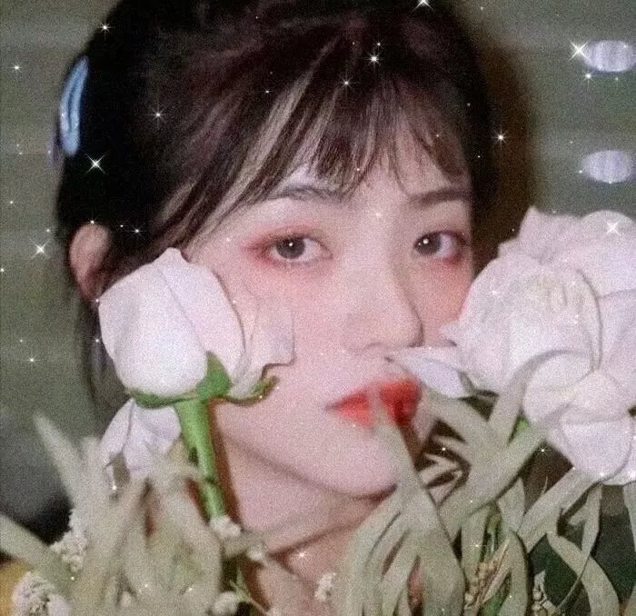 小尼莫